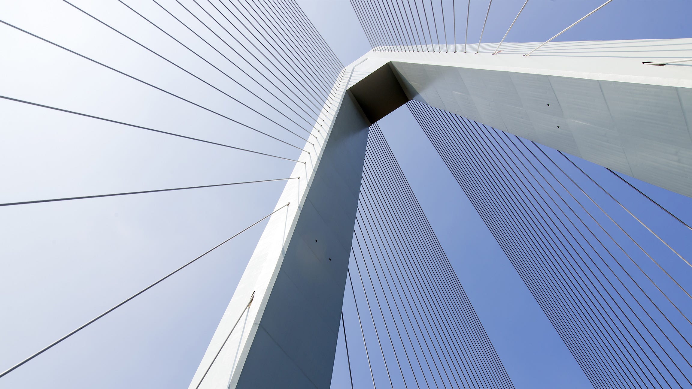 low angle of bridge with many steel rods
