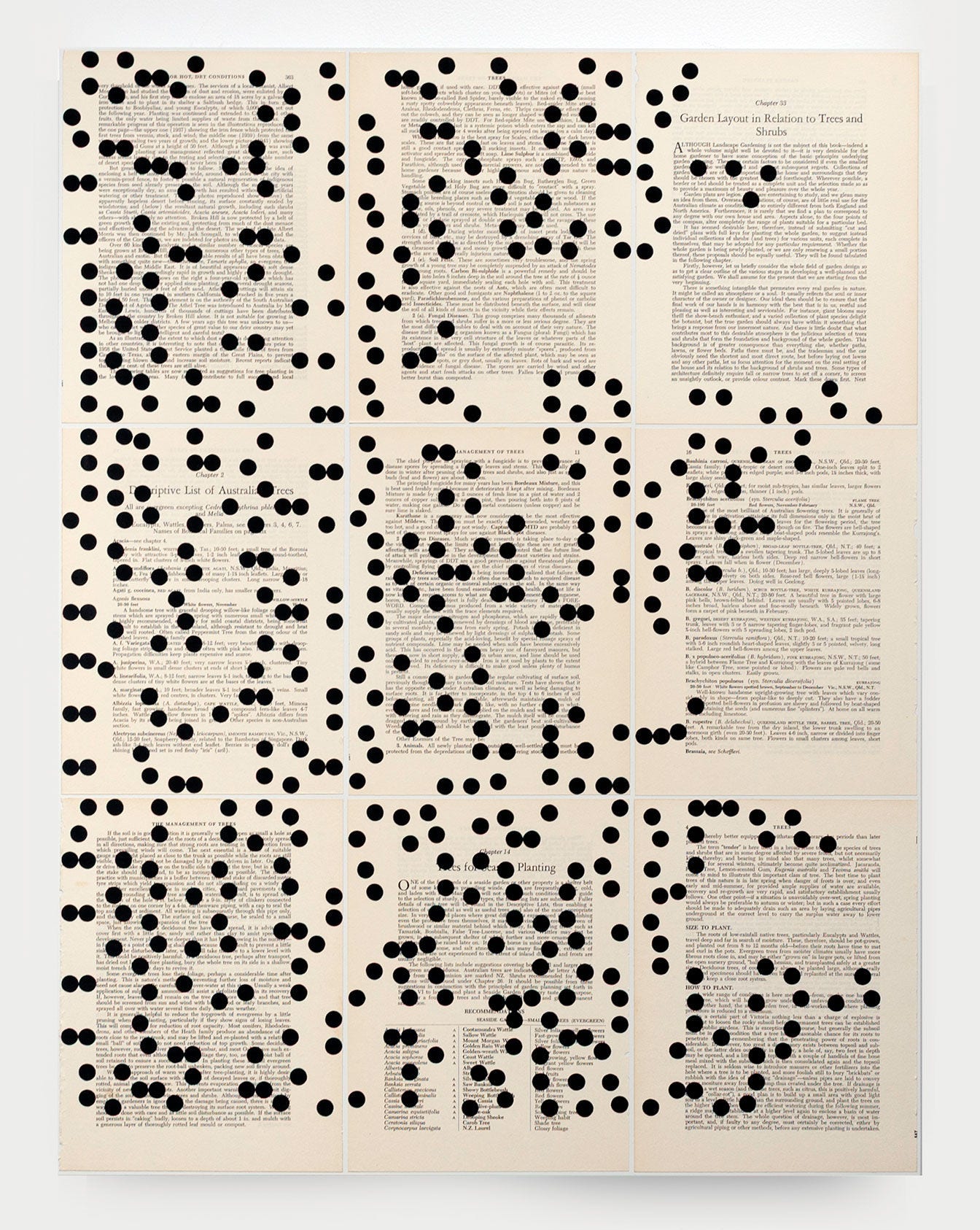 Language system of counter circles (This one is a song) — Mark Gowing