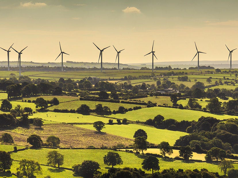wind turbines in green fields with trees