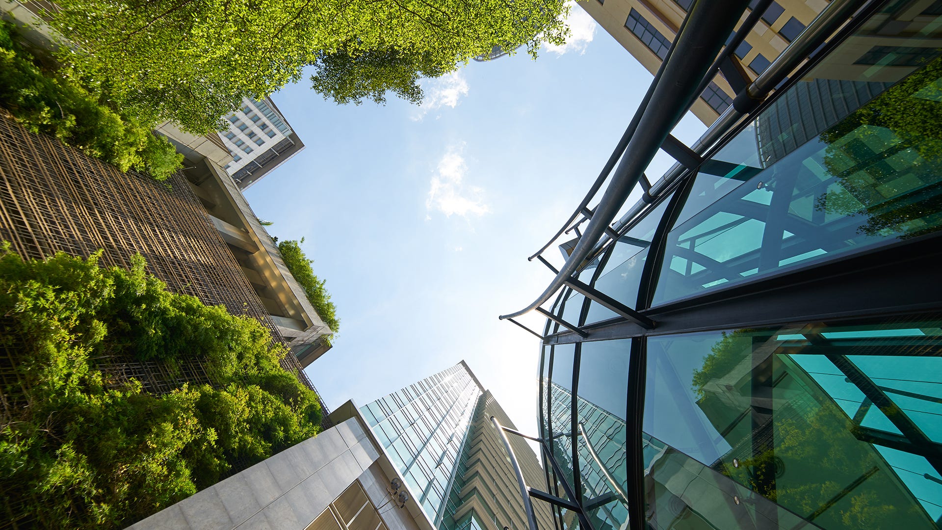 modern office building with green leaves