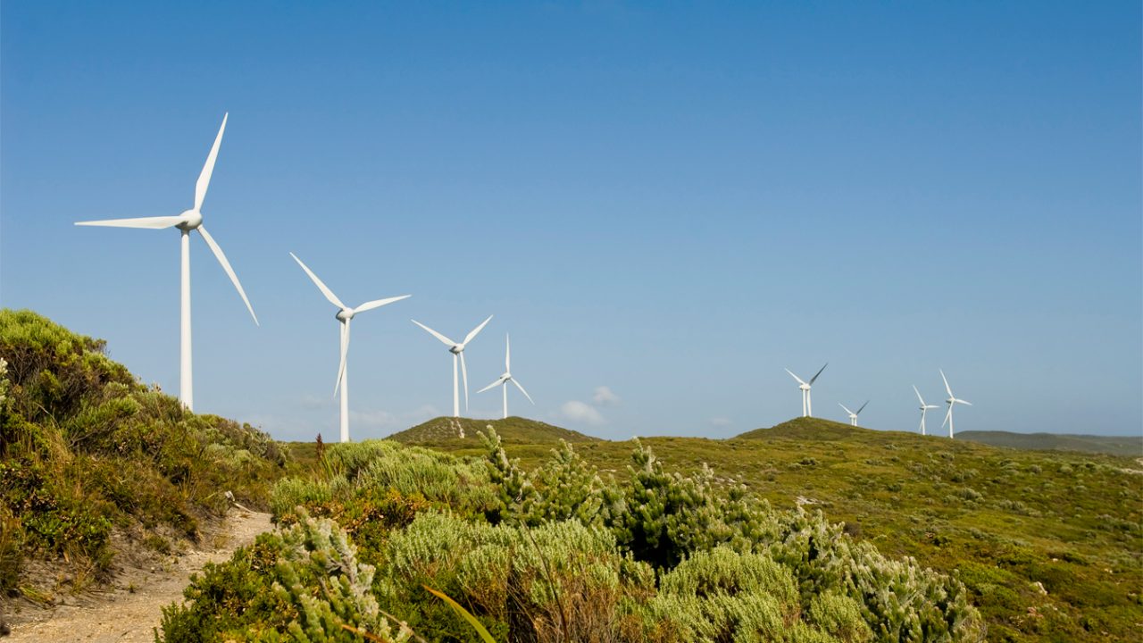 A row of turbines on a wind farm in Western Australia.