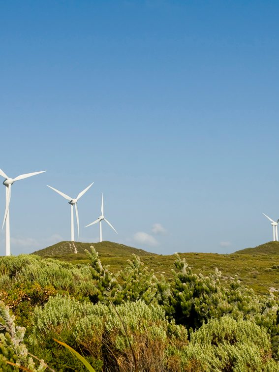 A row of turbines on a wind farm in Western Australia.