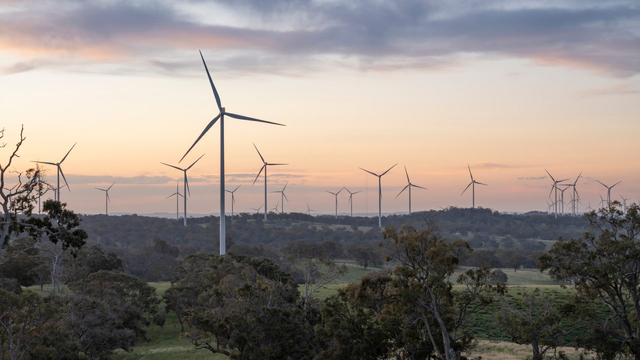 Squadron Energy’s Sapphire Wind Farm at sunrise