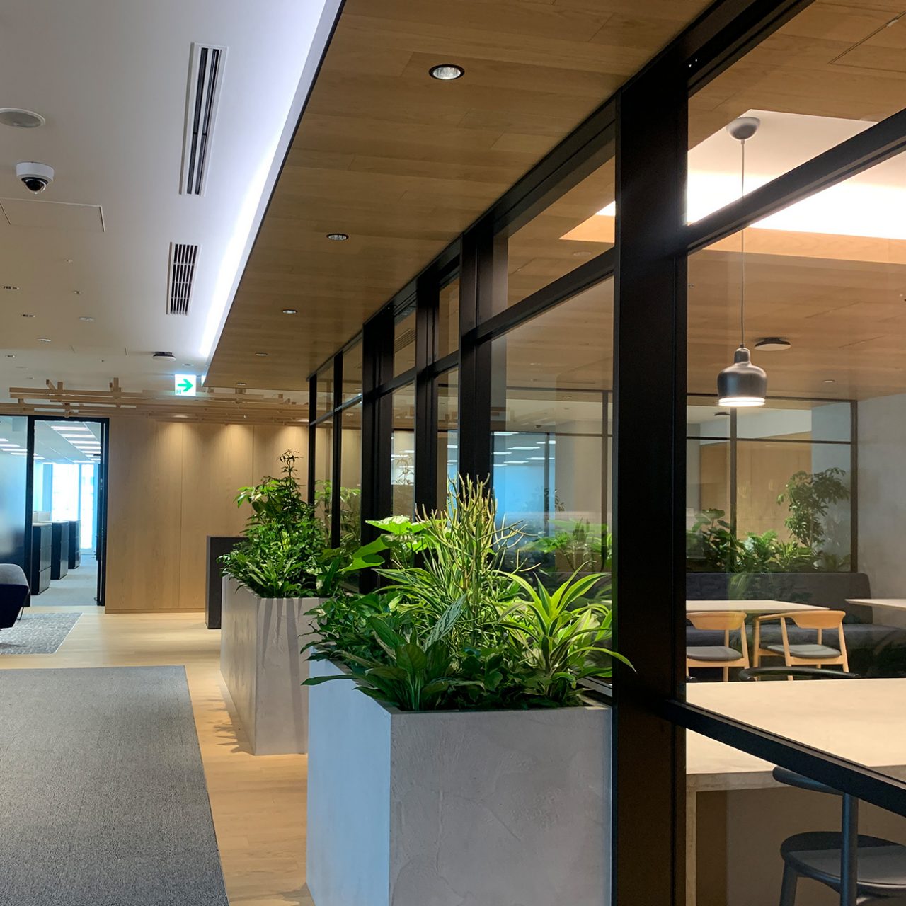 Corporate office with office plants in the foreground