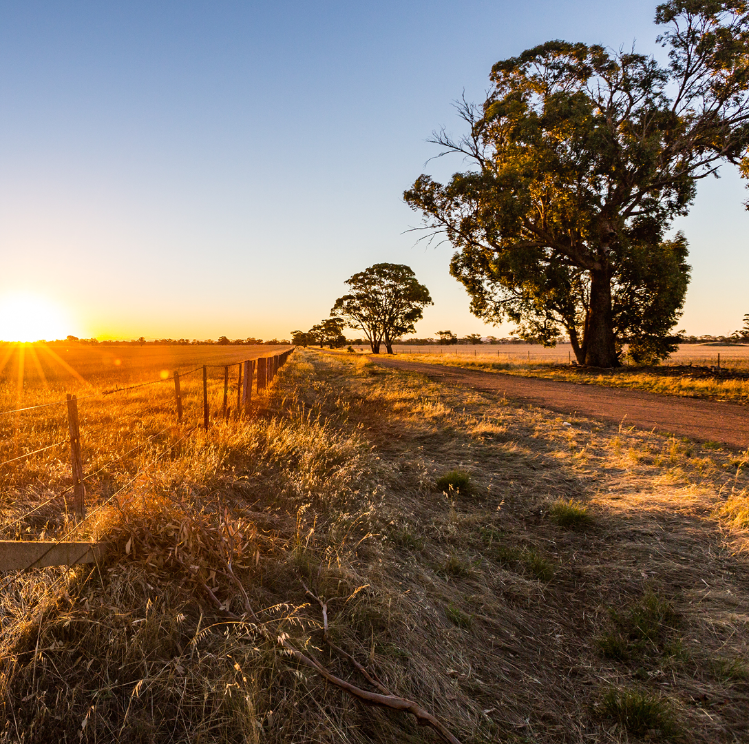 Macquarie Capital Proten case study hero image