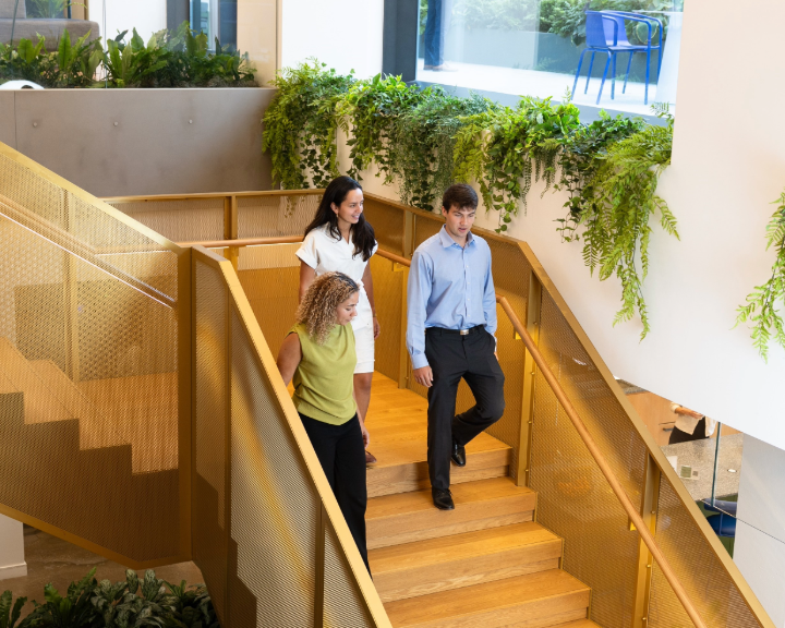 three office employees walking down a flight of stairs