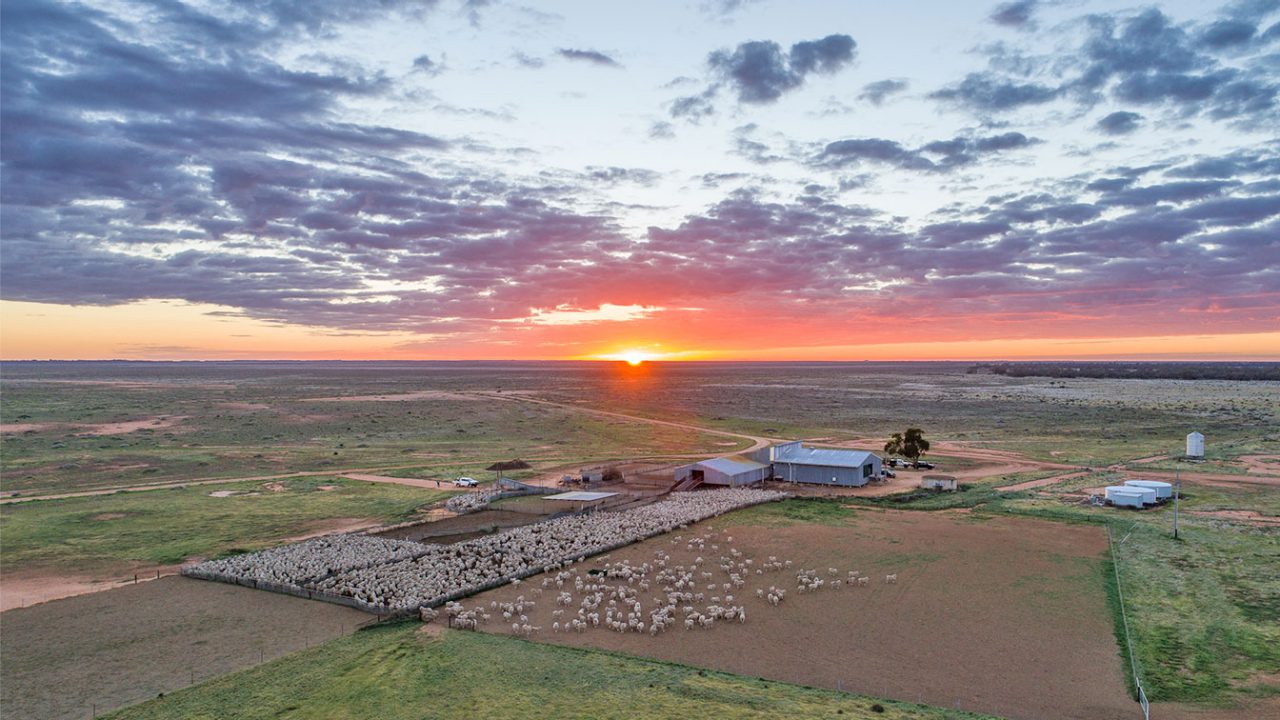 Ariel shot of the sun setting across a farm.