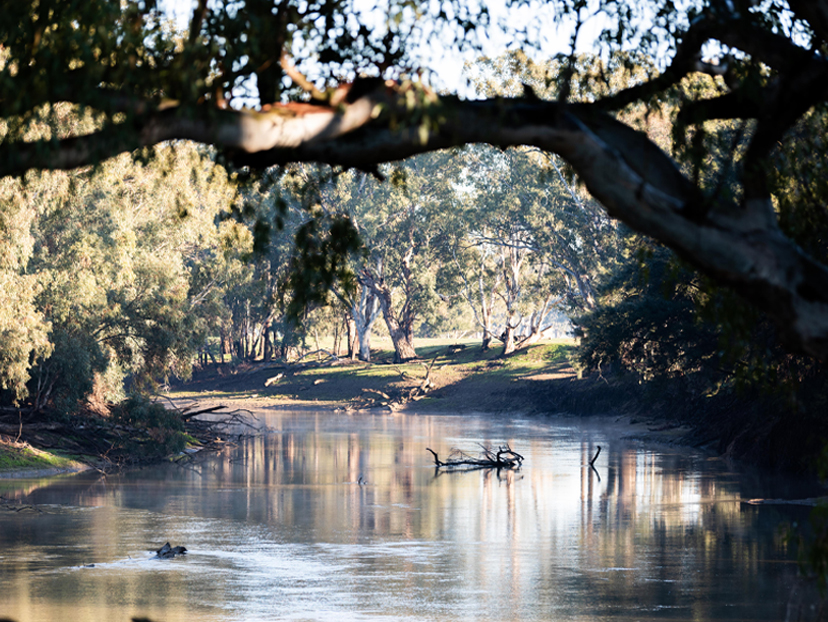 Murrumbidgee River, The Bulls Run Station, Australia 
