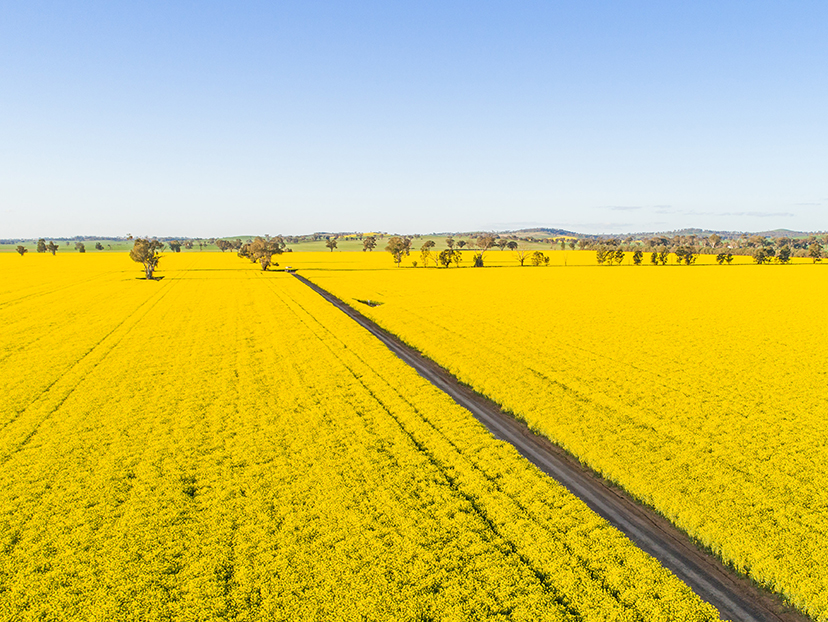Murrumbidgee River, The Bulls Run Station, Australia 