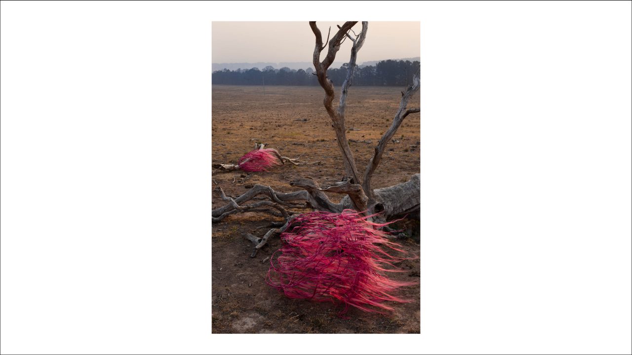 The Hairy Panic, untitled #7, 2019-2020 by Sophie Dumaresq