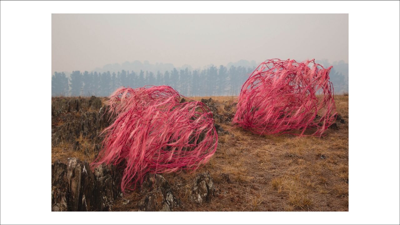 The Hairy Panic, untitled #10, 2019-2020 by Sophie Dumaresq