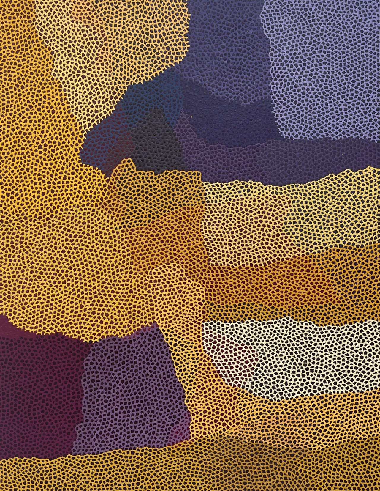 Fiona Pompey - Tali Ngura - Sandhill Country