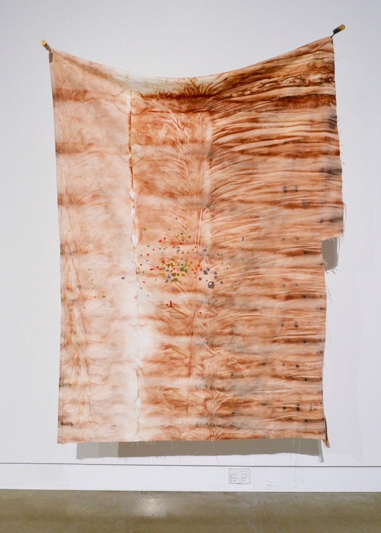 Clementine McIntosh - Sprinkle/Shot