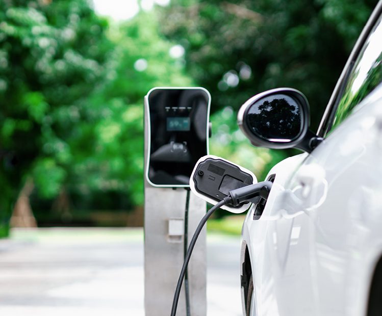 Market Perspectives: Global transport sector: On the road to net zero