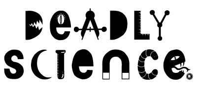 White Box Enterprises logo