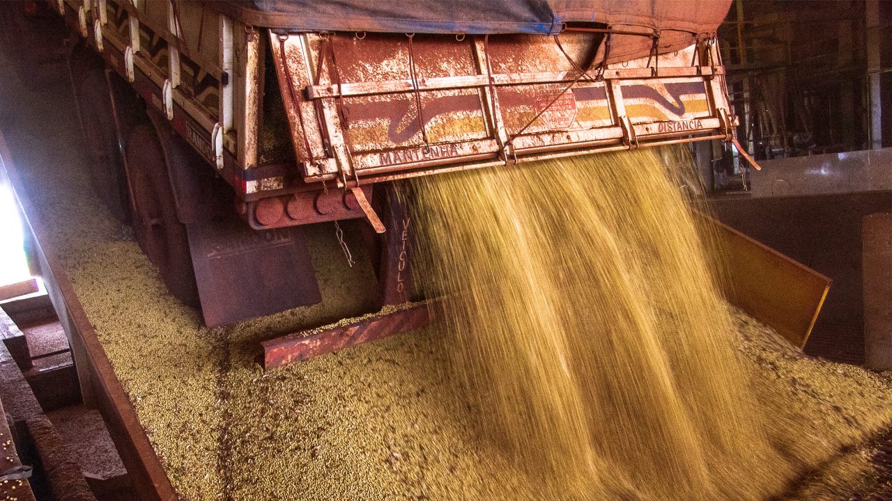 Truck makes a soybean dump at an silo in Brazil (Mato Grosso State), March 01, 2008