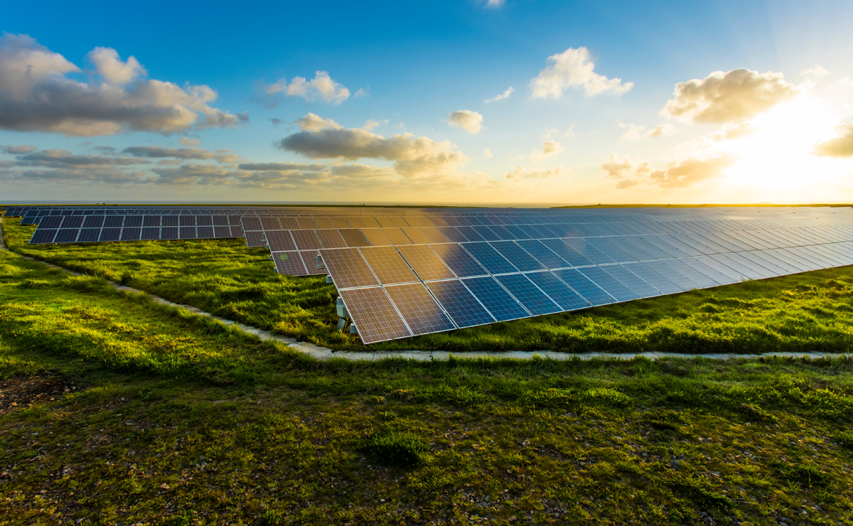 Aerial view of a large solar farm with rows of solar panels installed on grassy land, surrounded by trees and fields.