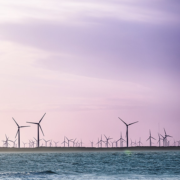 A wind farm in a coastal 