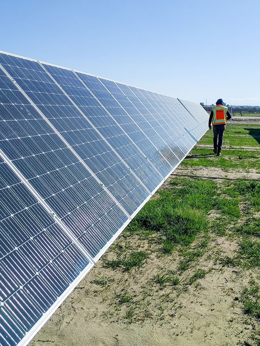 Electrician walking through a field of solar panels