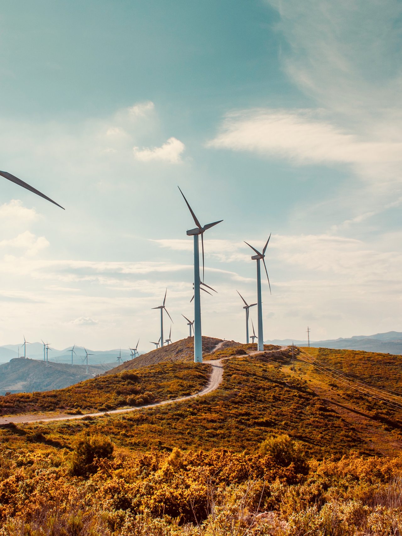 Wind turbines on beautiful sunny summer autumn mountain landscape, Curvy road through mountain Eolic park, Green ecological power energy generation, Wind farm eco fieldshutterstock-1189160374