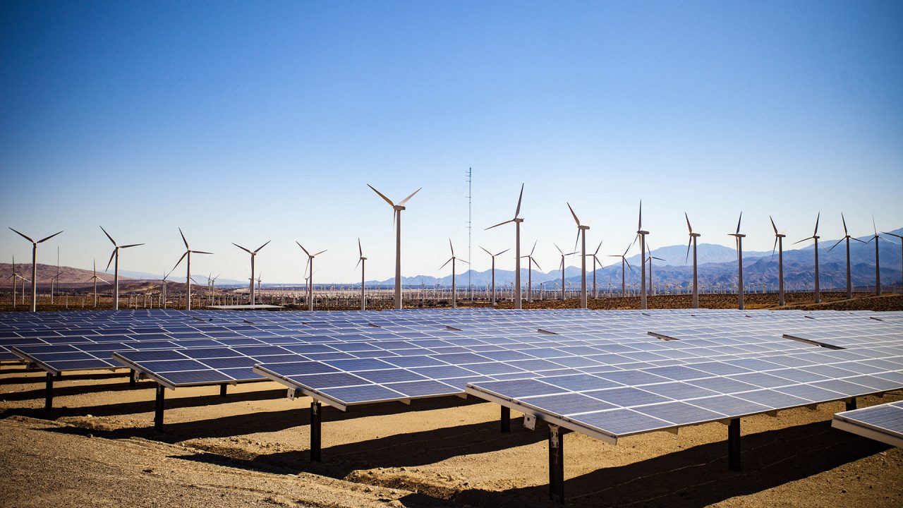 multiple row of solar panels with wind turbines behind in the distance