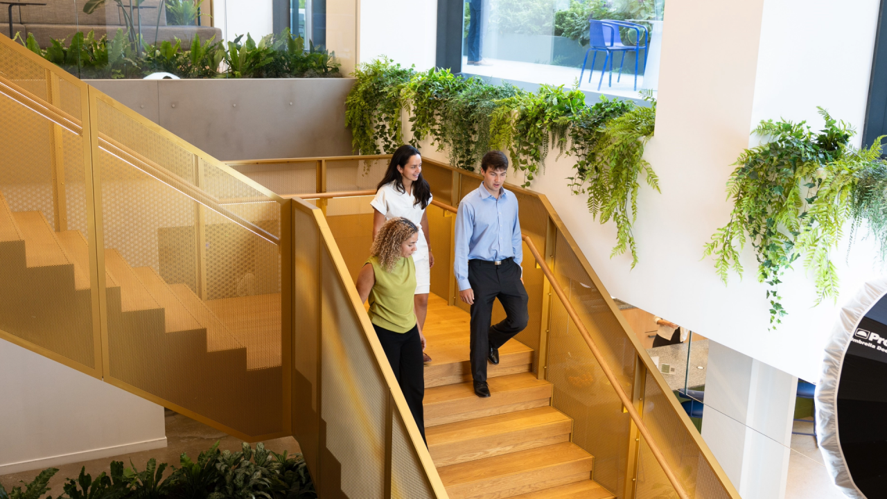 three office employees walking down a flight of stairs